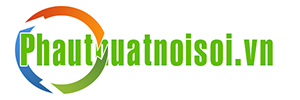 PHẪU THUẬT VÀ PHẪU THUẬT NỘI SOI - www.phauthuatnoisoi.vn